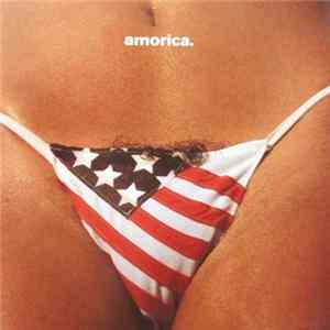 The Black Crowes - Amorica Album