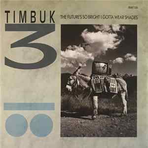 Timbuk 3 - The Future's So Bright, I Gotta Wear Shades Album