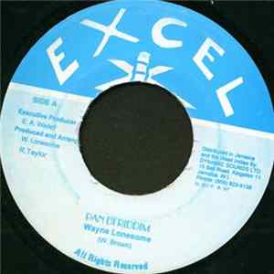 Wayne Lonesome - Pan Di Riddim Album