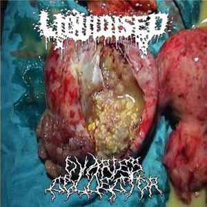 Liquidised / Ovaries Collector - Split Album