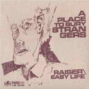 A Place To Bury Strangers - Raiser / Easy Life Album