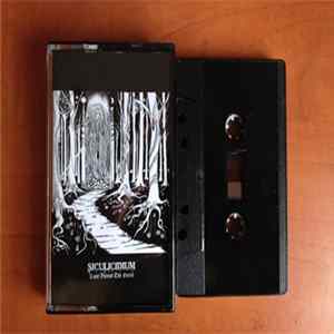 Siculicidium - Land Beyond The Forest Album