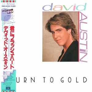 David Austin - Turn To Gold Album