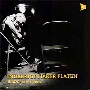 Ingebrigt Håker Flaten - Birds - Solo Electric Album