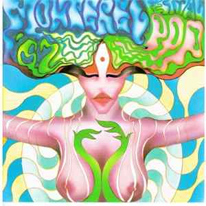Various - Monterey Pop Festival '67 Album