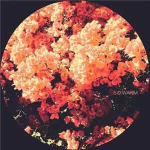 Various - So Warm Album