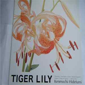 Kenmochi Hidefumi - Tiger Lily Album