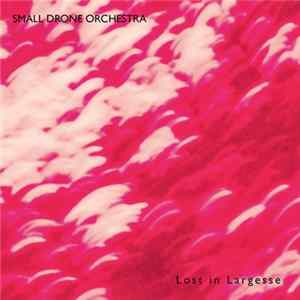 Small Drone Orchestra - Lost In Largesse Album