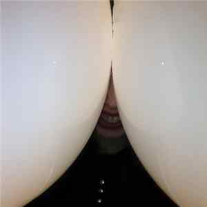 Death Grips - Bottomless Pit Album