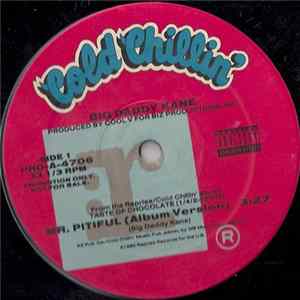 Big Daddy Kane - Mr. Pitiful Album
