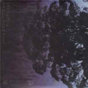 Kes Band & My Pal Foot Foot - Floating Garden Album