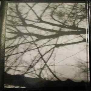 Alison Rowe / Trent Bingham / Grusom Dod / Theomania - 4-way Split Album