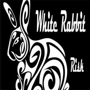 White Rabbit - Risk/Pulse Album