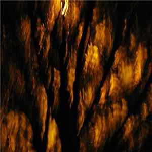 Audela - Access To Eternity Album
