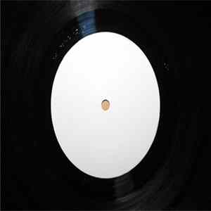 Skin - Faithfulness (Tiesto Remix) Album