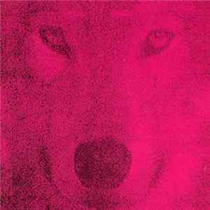 beD DEviLs - beD DEviLs Album