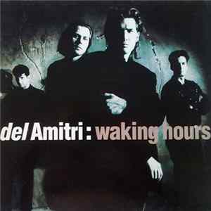 Del Amitri - Waking Hours Album