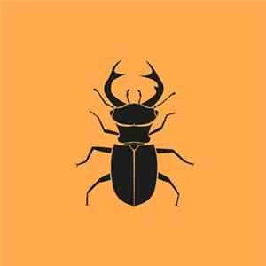 Jaquarius - Flying Deer EP Album