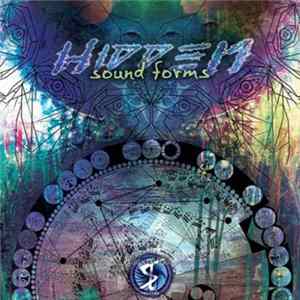 Various - Hidden Sound Forms Album
