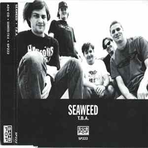 Seaweed - T.B.A Album