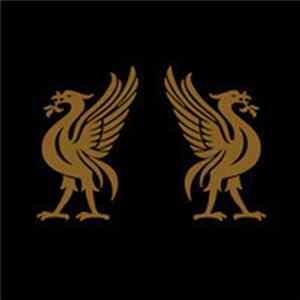 Joey Cape & Jon Snodgrass - Liverbirds Album