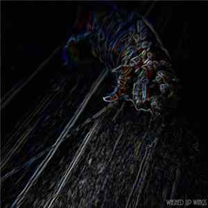 Washed Up Wings - Enigma Album