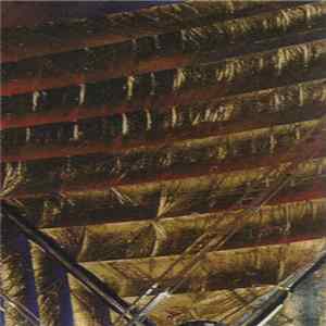 Giant Haystacks / Van People - Split Album