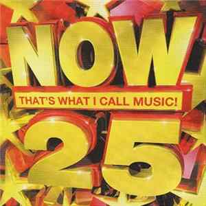 Various - Now That's What I Call Music 25 Album