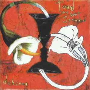 Toad The Wet Sprocket - Dulcinea Album