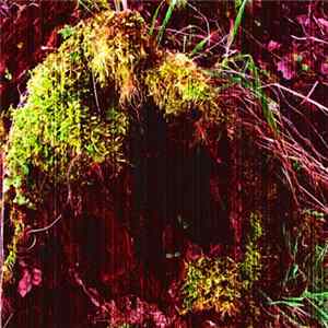Sleep Column - Dead Seed Inside Album