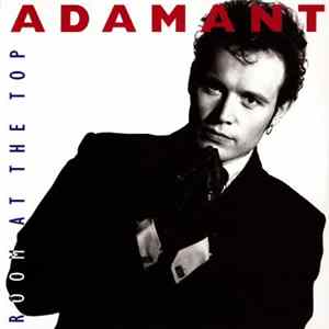 Adam Ant - Room At The Top Album