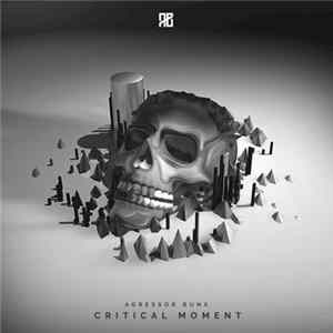 Agressor Bunx - Critical Moment EP Album