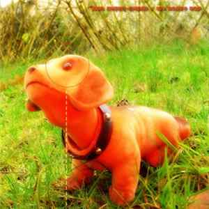 KPHB - My Doggy Dog #1 Album