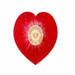 Dentist , Trans Charger Metropolis, Smalltalk , Seaside Caves - Vinyl Heart Album