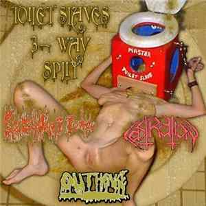Various - Toilet Slaves 3-Way Split Album