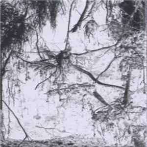 Dead Reptile Shrine - N.t.K. Album