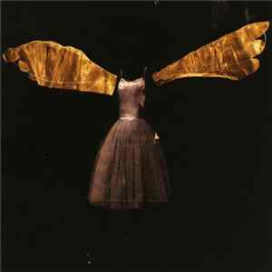 Dropsonic - Insects With Angel Wings Album