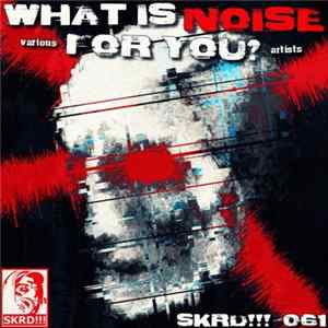 Various - What Is Noise For You? Album