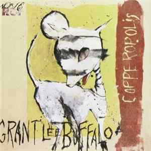 Grant Lee Buffalo - Copperopolis Album