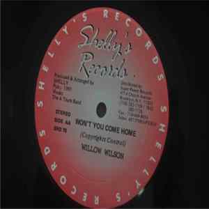 Nardo Ranks, Willow Wilson - Hold It Down / Won't You Come Home Album