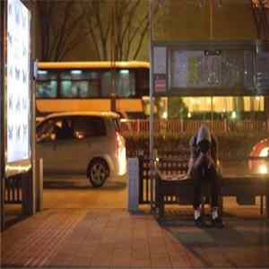 Shotahirama - Modern Lovers Album