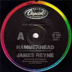 James Reyne - Hammerhead Album