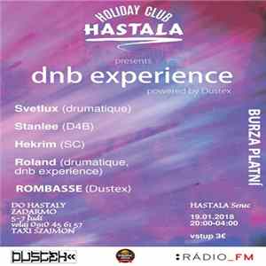 Various - dnb experience Album