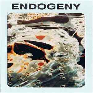 Gen Ken Montgomery - Endogeny Album