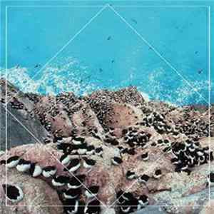Hookworms / Kogumaza - Form And Function / Ursids Album