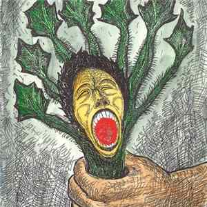 The Stinging Nettles - The Stinging Nettles Album