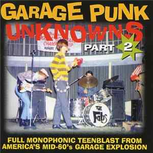 Various - Garage Punk Unknowns Part 2 Album