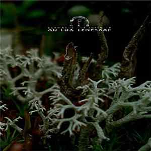 Closing The Eternity & Ad Lux Tenebrae - Skywards The Infinity Album