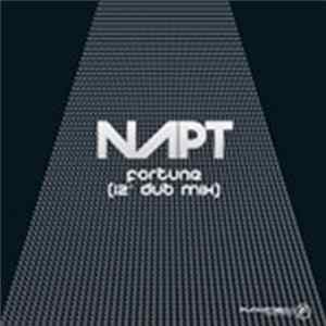 NAPT - Fortune (12" Dub Mix) Album