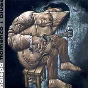 Nalepa - Flamenco I Blues Album